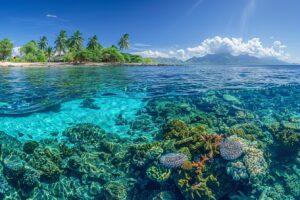 Voici les 5 lagons de Polynésie qui transformeront votre journée en une aventure tropicale inoubliable